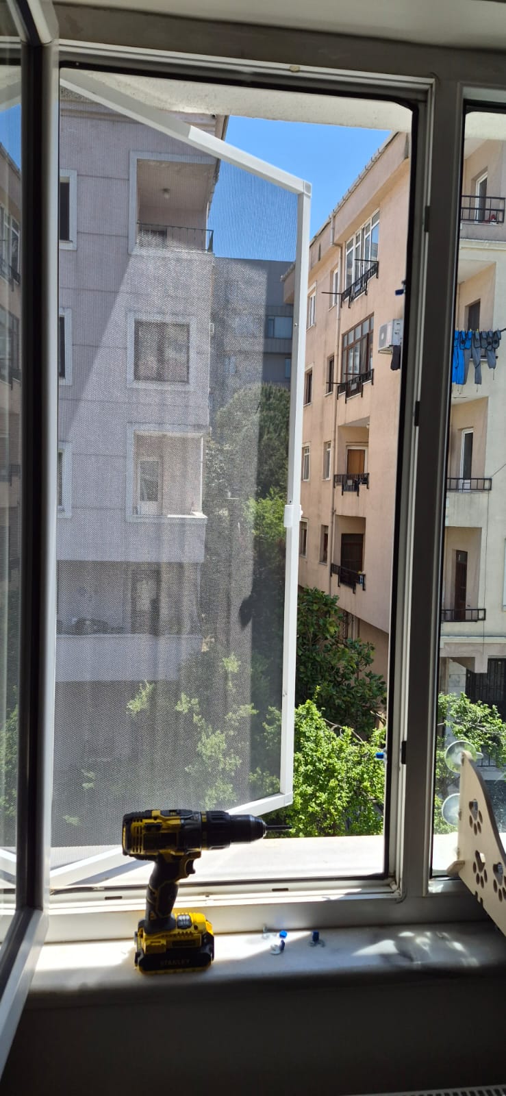 Nisa Pimapen Çalışmaları - pencere-sinekligi-kedi-sinekligi-kagithane