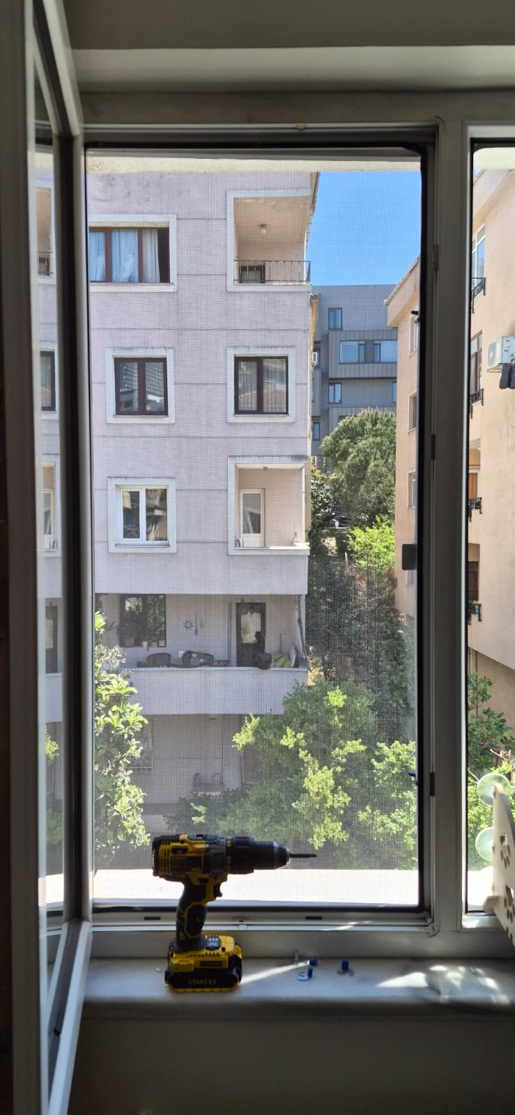 Nisa Pimapen Çalışmaları - pencere-sinekligi-kedi-sinekligi