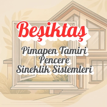 Beşiktaş Pimapen ve Sineklik Sistemleri
